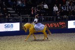 Quadrille - 00567